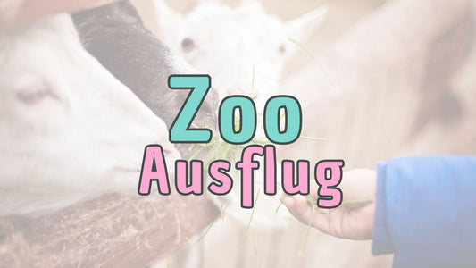 Ein kreatives DIY-Geschenk: Die Zoo Gutscheinbox zum Selberbasteln